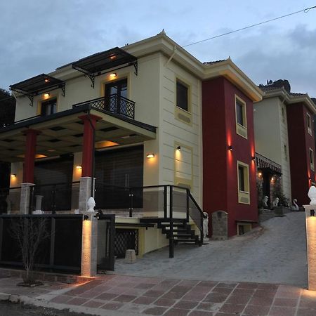 Dominique Meteora House Apartment Kalampáka Luaran gambar